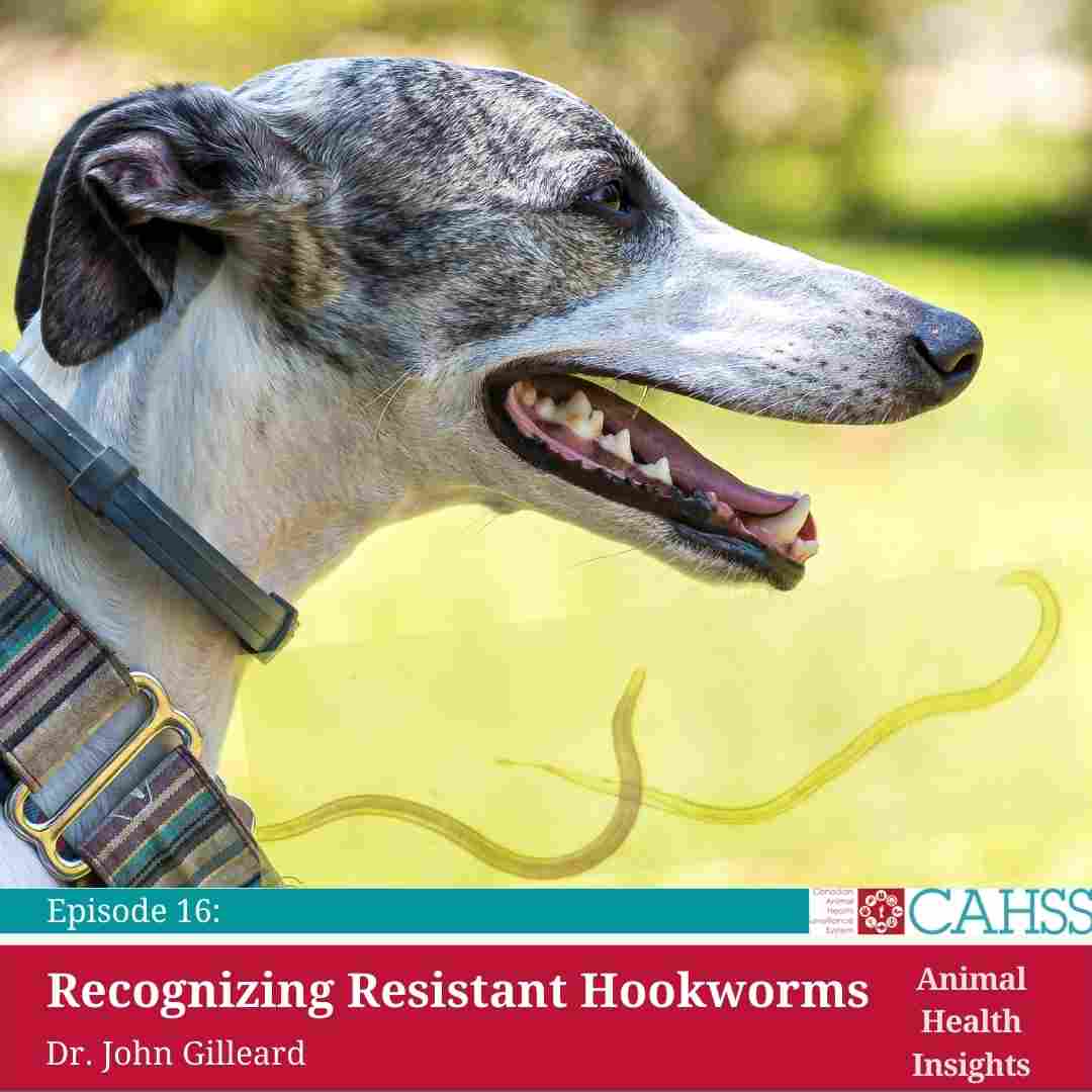 16e épisode : Recognizing Resistant Hookworms avec Dr John Gilleard