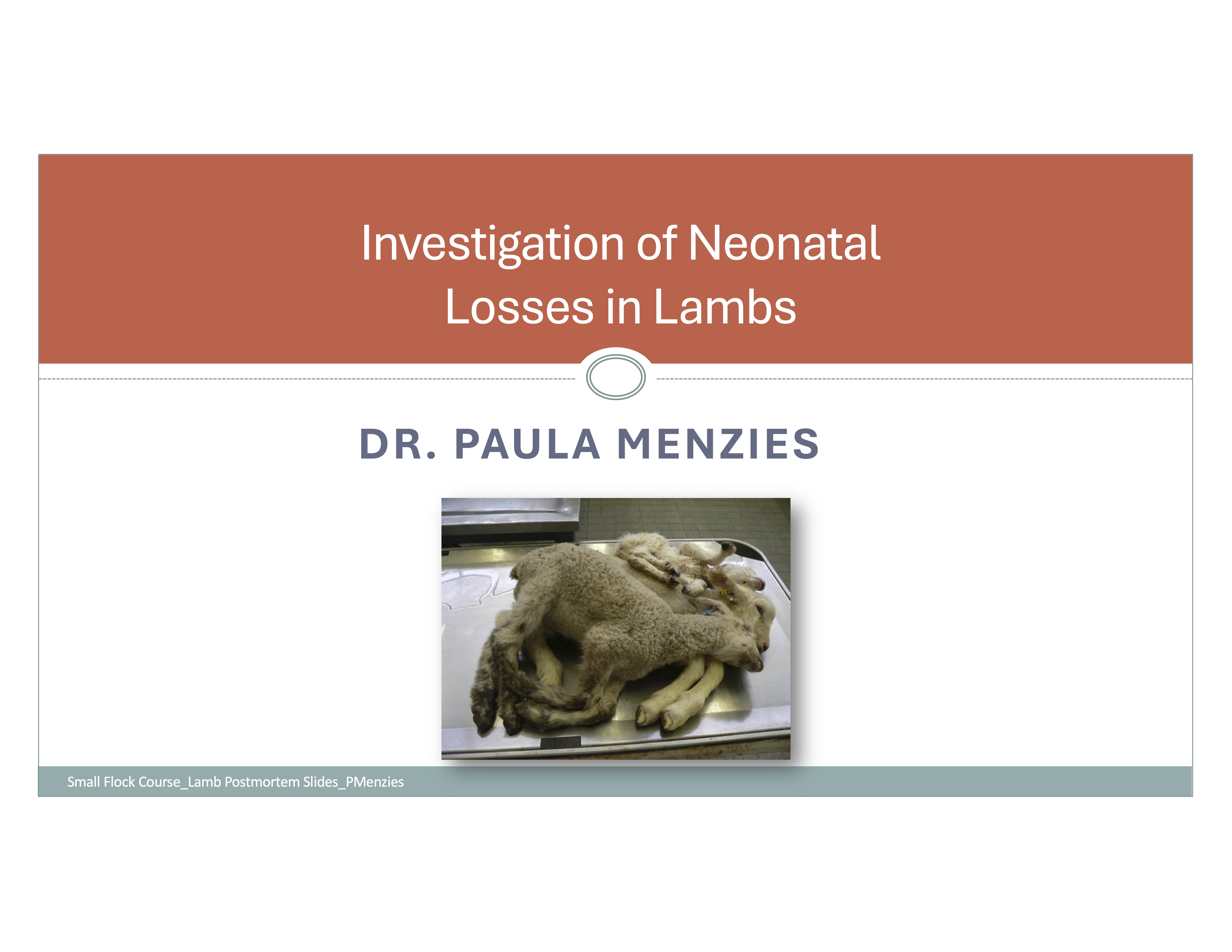 Default Lamb Postmortem Slides   Pmenzies Compressed