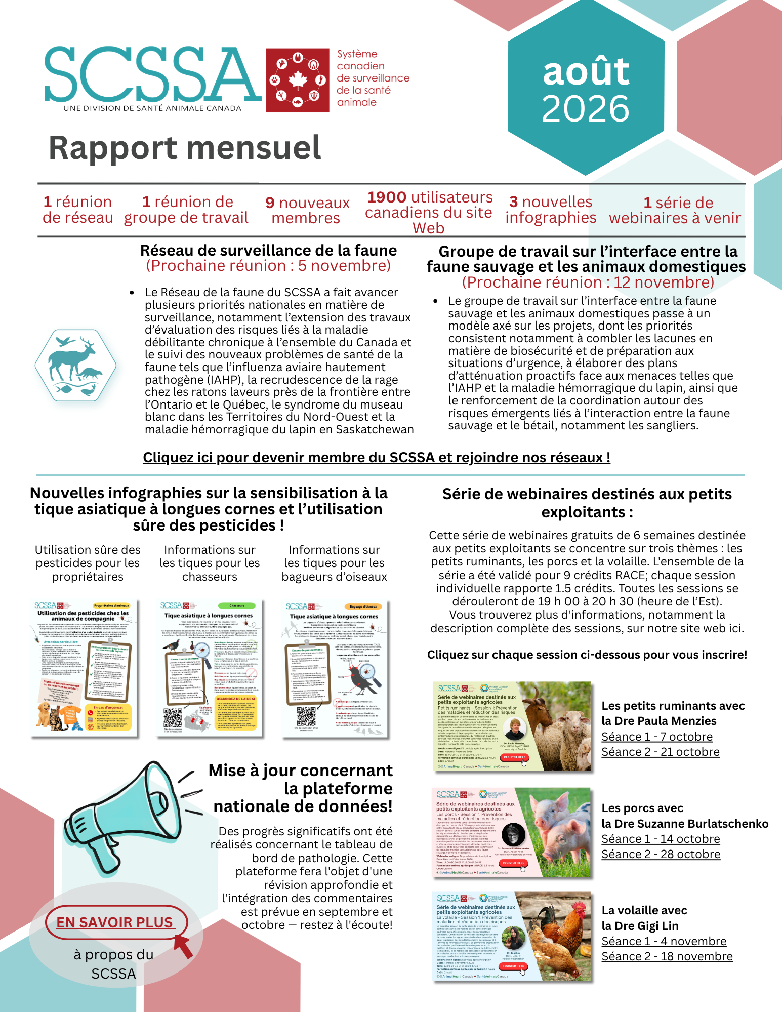 Default Rapport Mensuel Août  2026