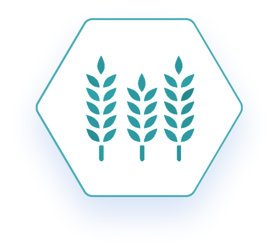 Hexagon shaped network logo with a blue outline of wheat
