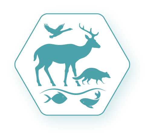 Default Wildlife Insignia Final 25.02.2026